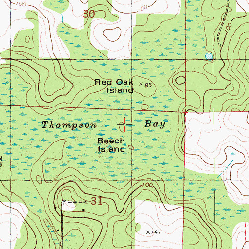 Topographic Map of Beech Island, FL