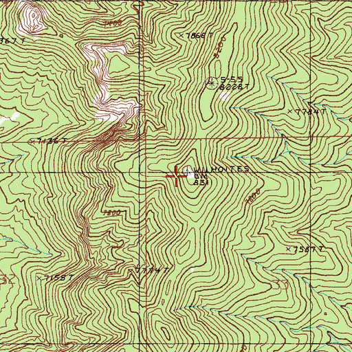 Topographic Map of Wilhoites Peak, NV