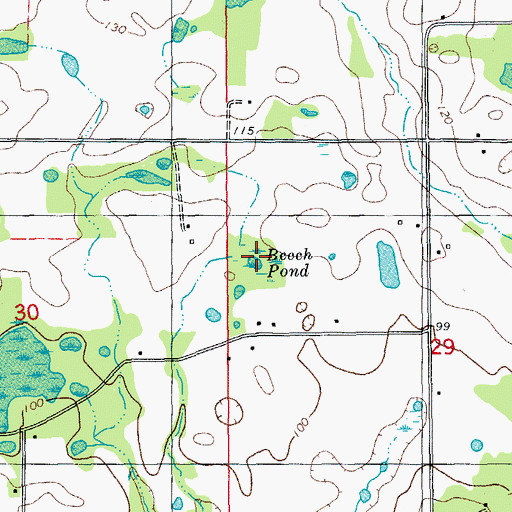 Topographic Map of Beech Pond, FL
