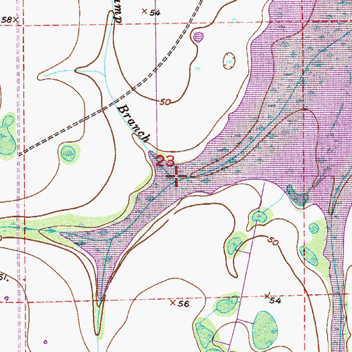 Topographic Map of Beef Camp Branch, FL