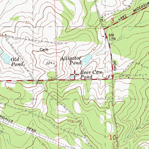 Topographic Map of Beer Can Pond, FL