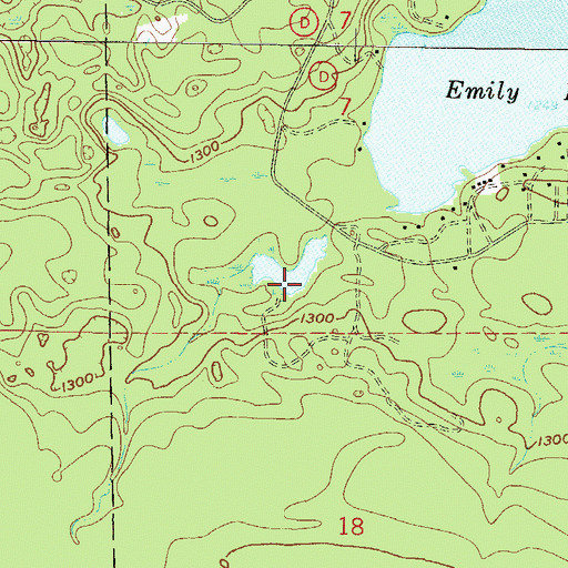 Topographic Map of Little Emily Lake, WI