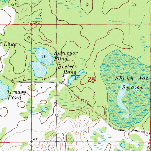 Topographic Map of Beetree Pond, FL