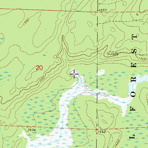Topographic Map of Homestead Lake, WI