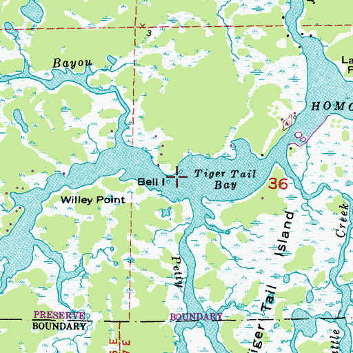 Topographic Map of Beli Island, FL