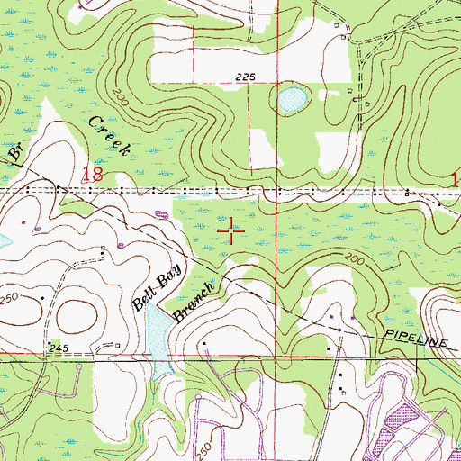 Topographic Map of Bell Bay Branch, FL