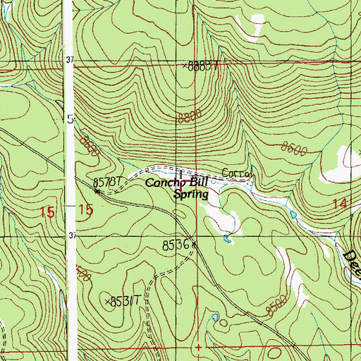 Topographic Map of Concho Bill Spring, AZ