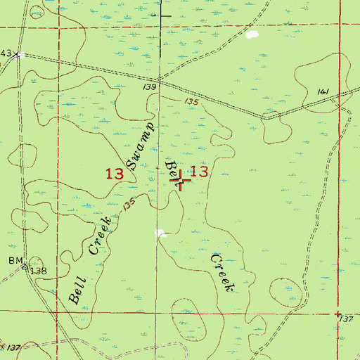 Topographic Map of Bell Creek Swamp, FL