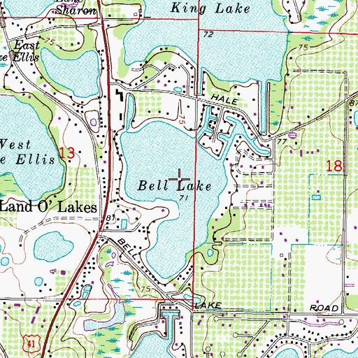 Topographic Map of Bell Lake, FL