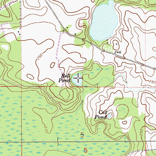 Topographic Map of Bell Pond, FL