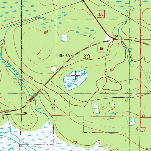 Topographic Map of Bell Pond, FL