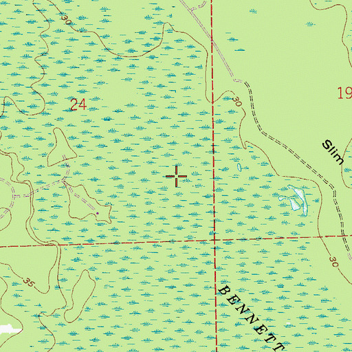 Topographic Map of Bennett Swamp, FL