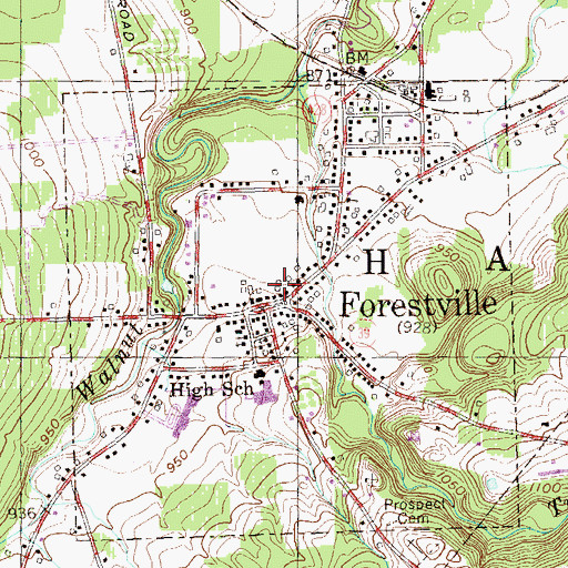 Topographic Map of Forestville Census Designated Place, NY