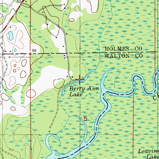 Topographic Map of Berry Ann Lake, FL