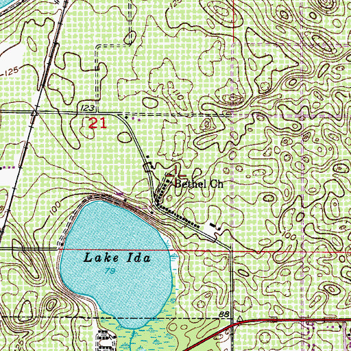 Topographic Map of Bethel Church, FL