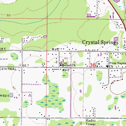 Topographic Map of Bethel Church, FL