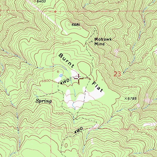 Topographic Map of Burns Flat, CA