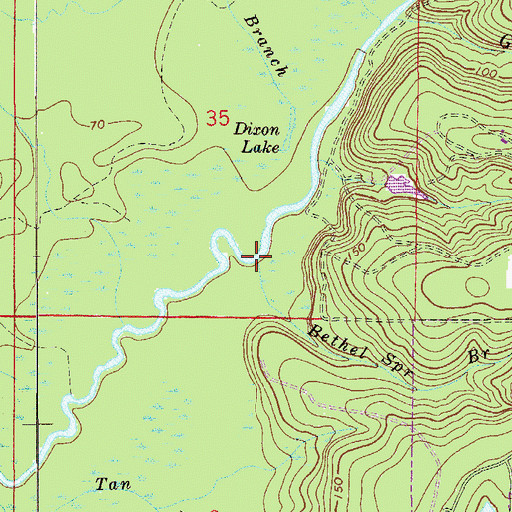 Topographic Map of Bethel Spring Branch, FL
