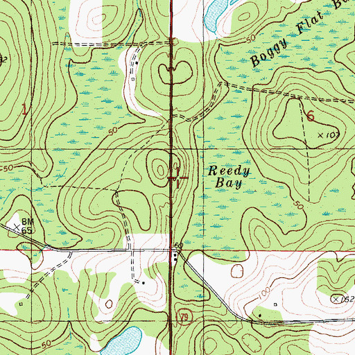 Topographic Map of Bethesda Church, FL