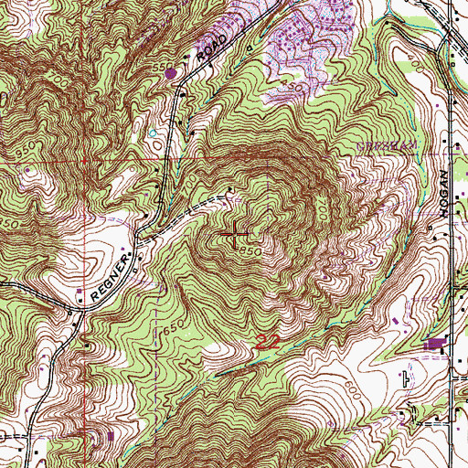 Topographic Map of Hogan Butte, OR