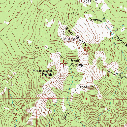 Topographic Map of Buck Spring, ID