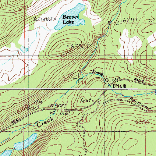 Topographic Map of Strong Creek, ID