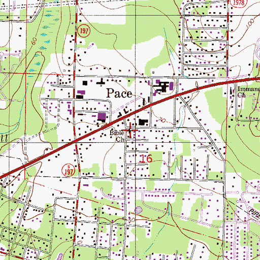 Topographic Map of Bible Church, FL