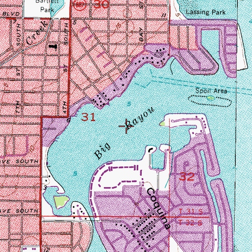 Topographic Map of Big Bayou, FL