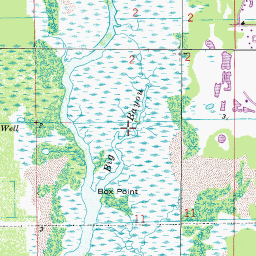 Topographic Map of Big Bayou, FL