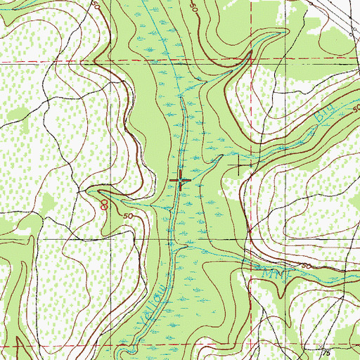 Topographic Map of Big Branch, FL