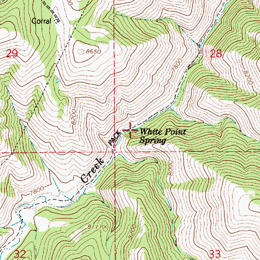 Topographic Map of White Point Spring, UT