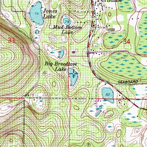 Topographic Map of Big Breedlove Lake, FL