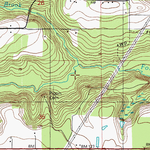 Topographic Map of Big Brook, FL