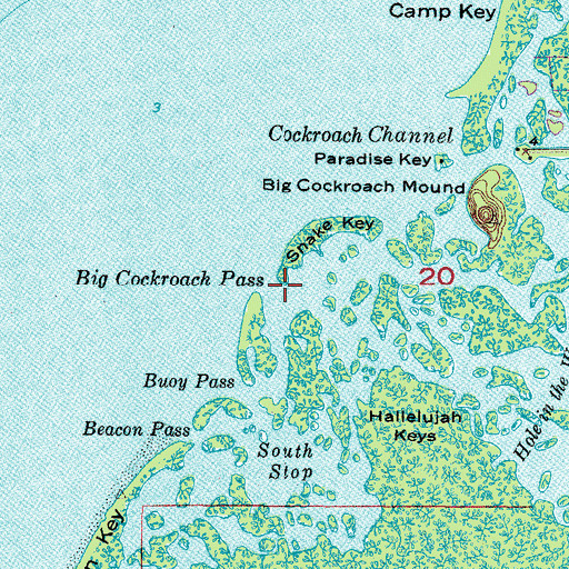 Topographic Map of Big Cockroach Pass, FL