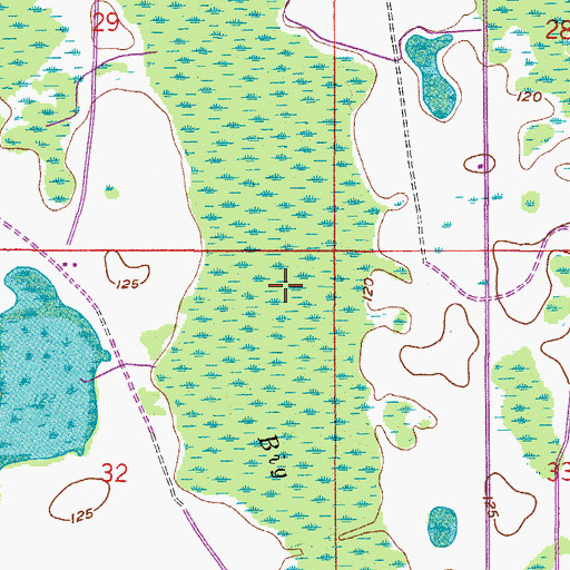 Topographic Map of Big Creek, FL