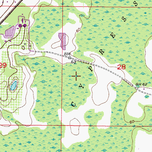 Topographic Map of Big Cypress Swamp, FL