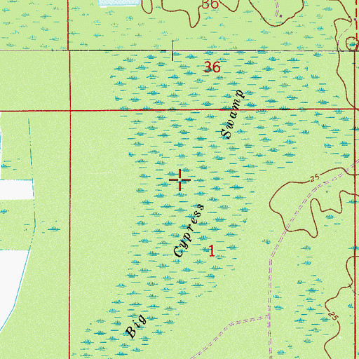 Topographic Map of Big Cypress Swamp, FL