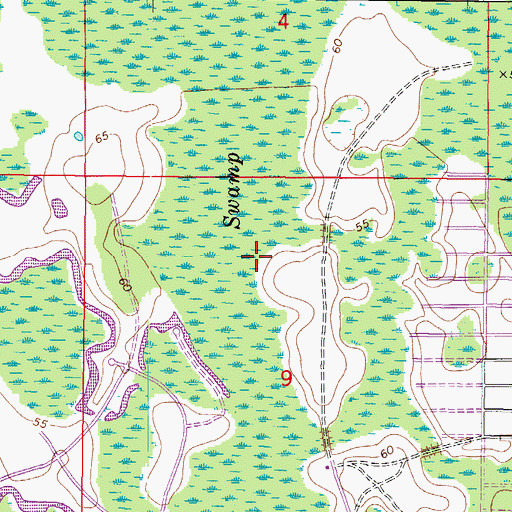 Topographic Map of Big Cypress Swamp, FL