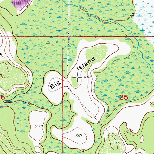 Topographic Map of Big Island, FL