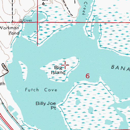 Topographic Map of Big Island, FL