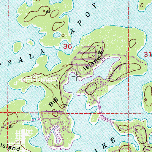 Topographic Map of Big Island, FL