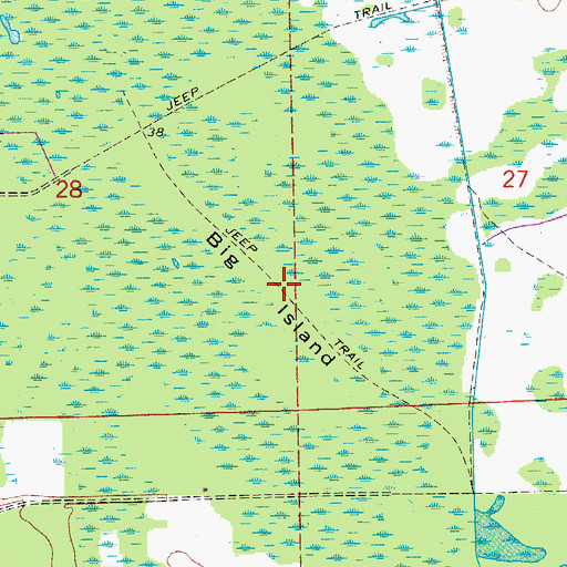 Topographic Map of Big Island, FL
