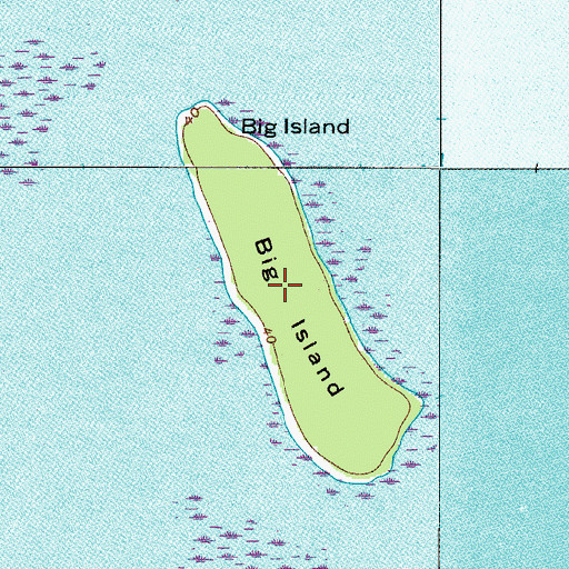 Topographic Map of Big Island, FL