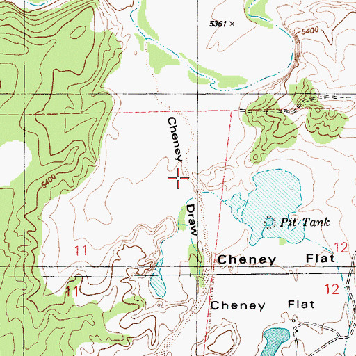 Topographic Map of Cheney Flat, AZ