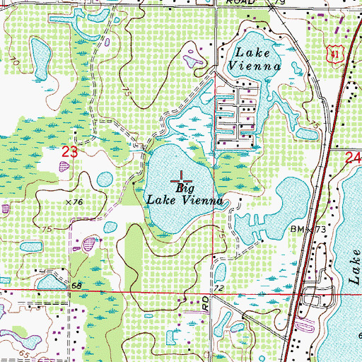 Topographic Map of Big Lake Vienna, FL