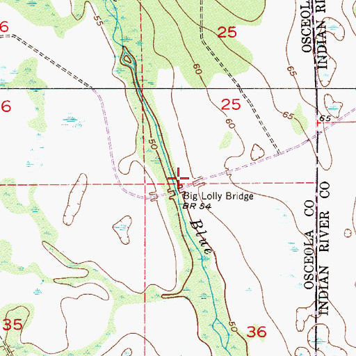 Topographic Map of Big Lolly Bridge, FL
