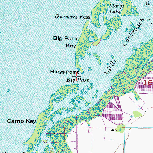 Topographic Map of Big Pass, FL