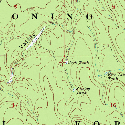 Topographic Map of Cook Tank, AZ