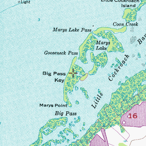 Topographic Map of Big Pass Key, FL