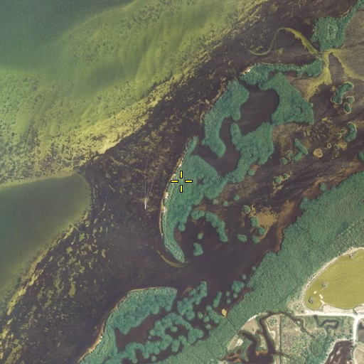 Aerial/Satellite Image of Big Pass Key, FL